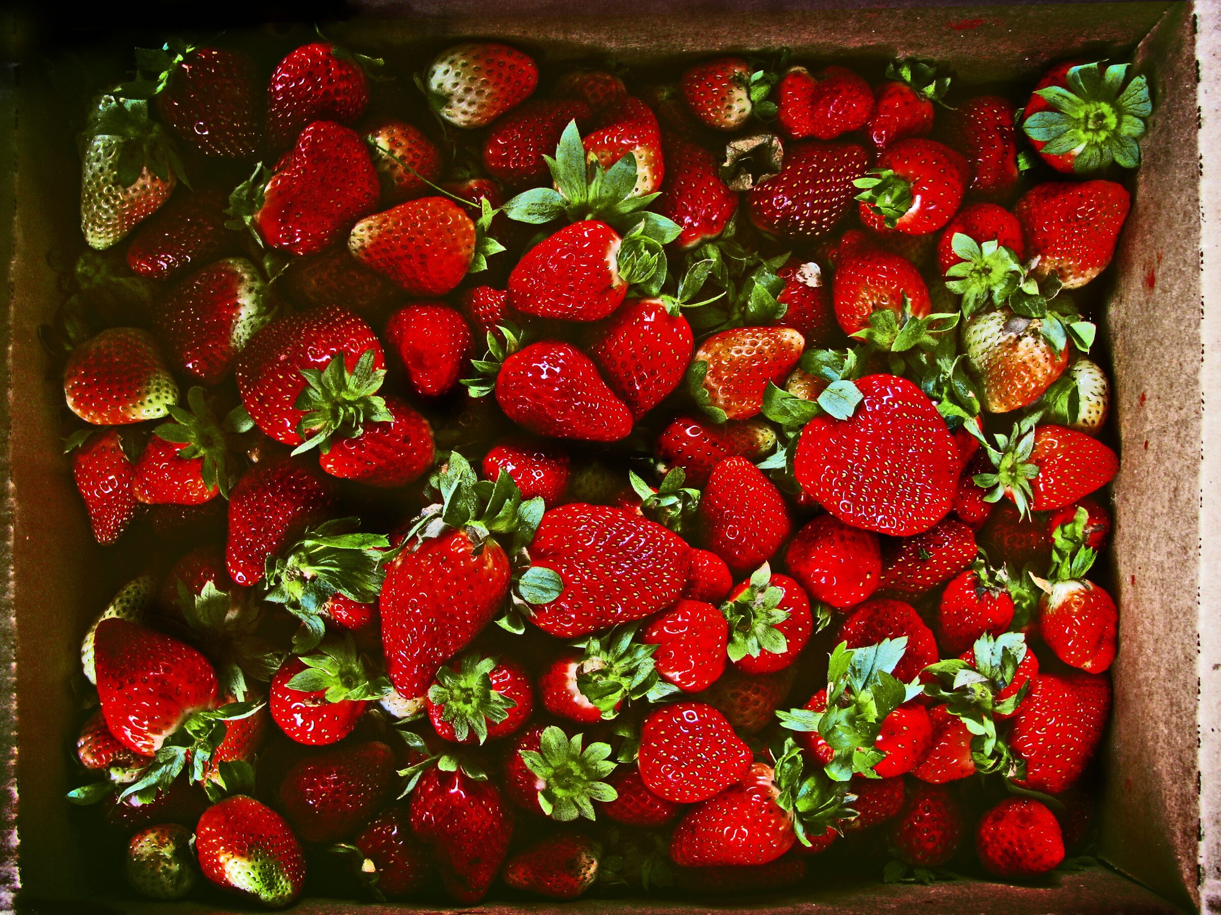 A box of glossy strawberries photographed from above.